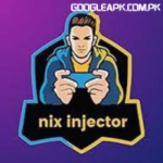 Nix Injector