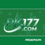 PK177 Game